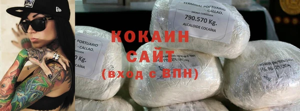 шишки Армянск