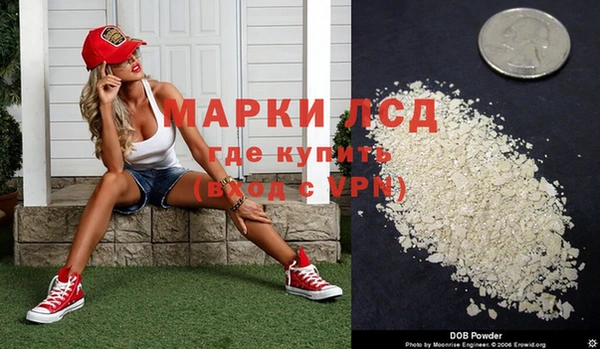 ГАЛЛЮЦИНОГЕННЫЕ ГРИБЫ Арсеньев