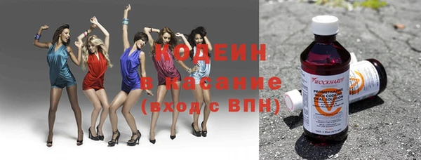 ГАЛЛЮЦИНОГЕННЫЕ ГРИБЫ Арсеньев