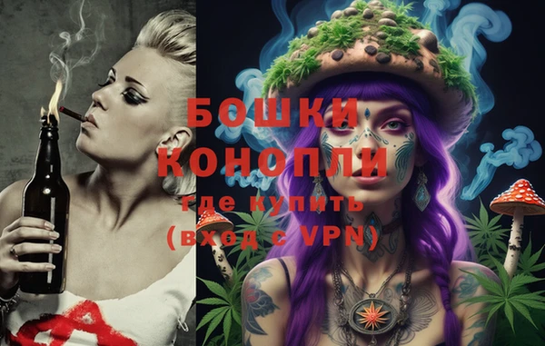ГАЛЛЮЦИНОГЕННЫЕ ГРИБЫ Арсеньев