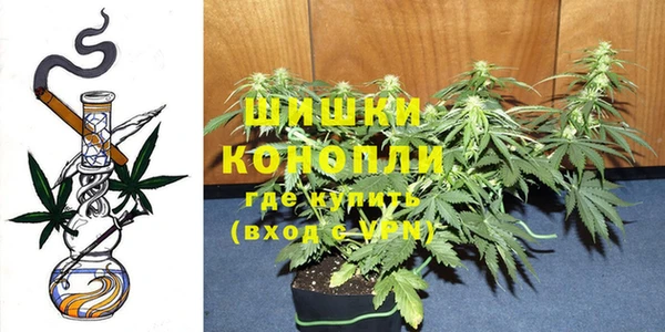 амф Аркадак