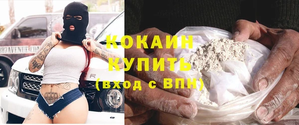 шишки Армянск