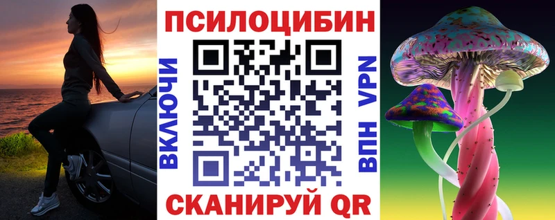 Купить закладки  Волгореченск  Псилоцибиновые грибы Magic Shrooms 